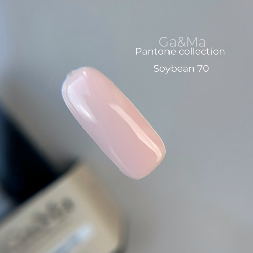 Pantone Collection Ga&Ma 070 Soybean, 10ml