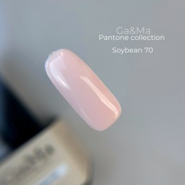 Pantone Collection Ga&Ma 070 Soybean, 10ml 